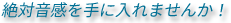 絶対音感を手に入れませんか！